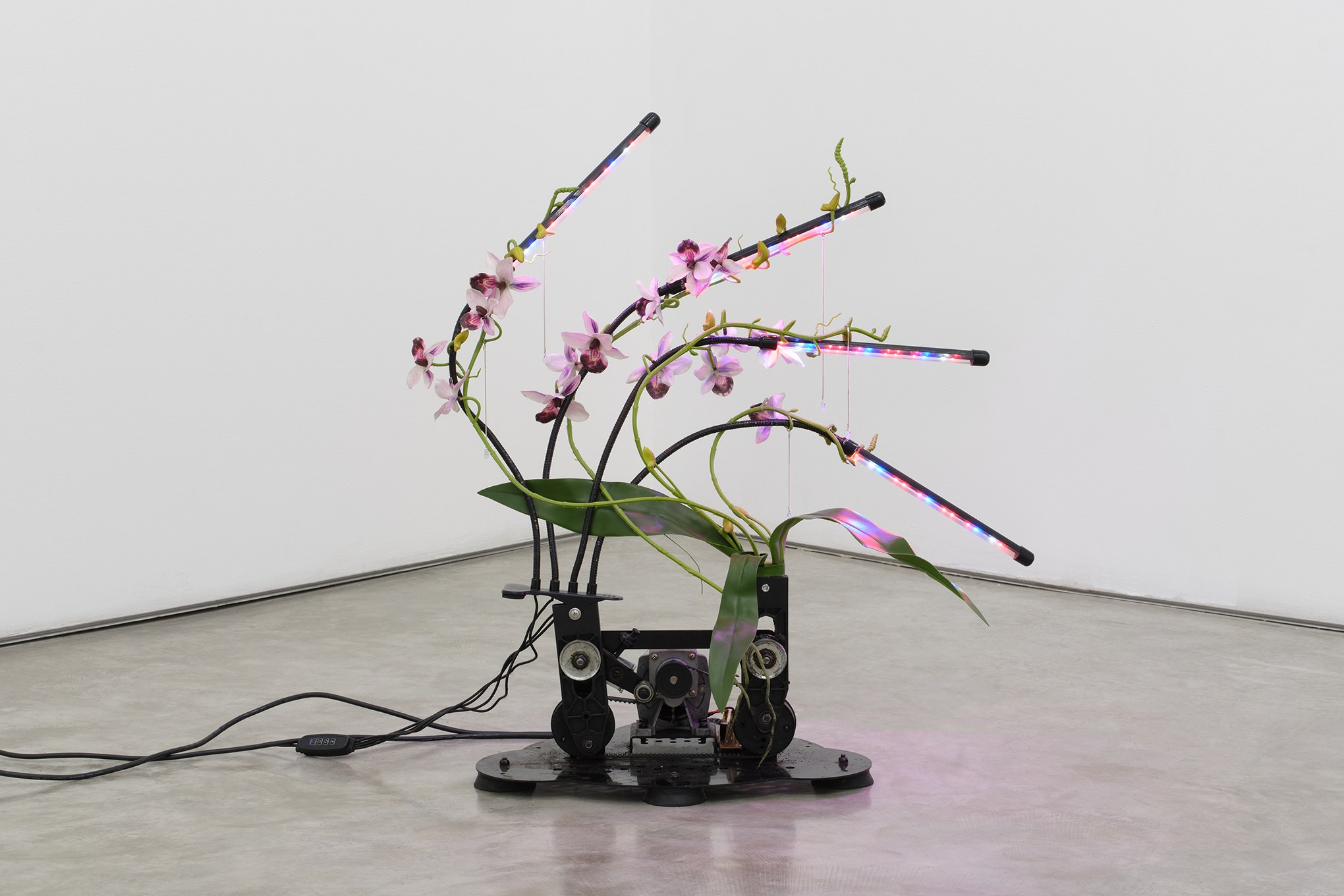 Artificial flowers and LED light bar attached to mechanical equipment in white wall gallery.