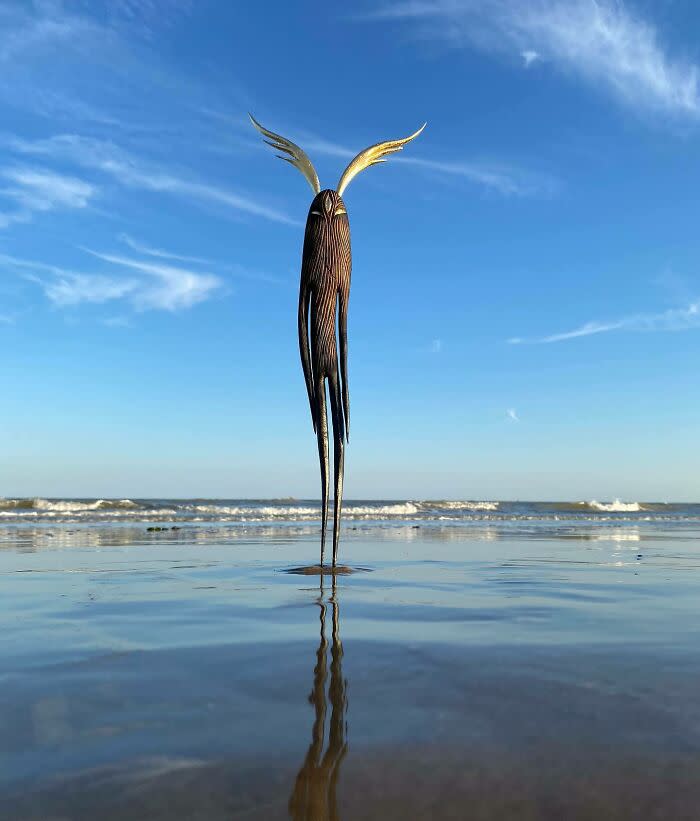 60 extraordinary wooden sculptures by Touch Pollard, inspired by nature and mythology