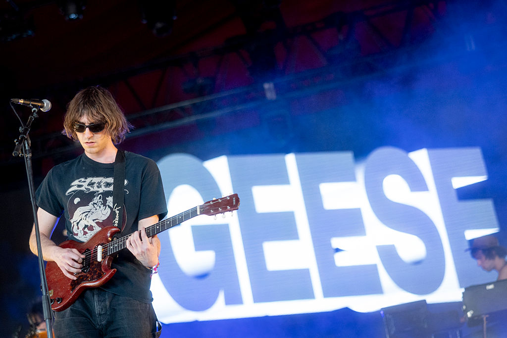 It's okay to like geese.